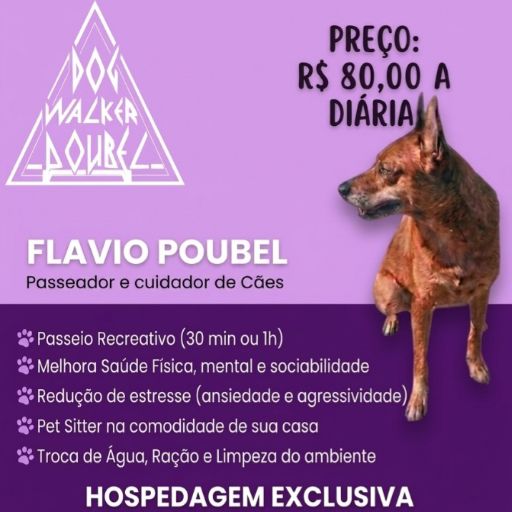 Foto de Flavio Poubel, guardião PetHost