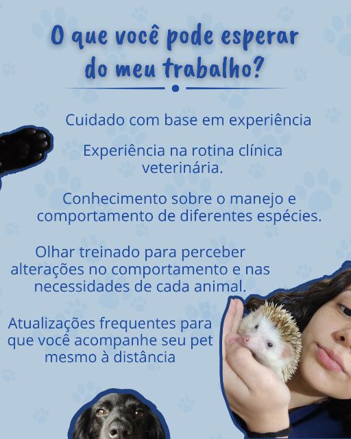 Foto 2 da galeria