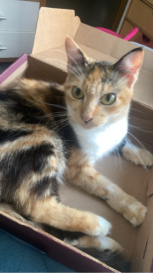 Foto 2 da galeria