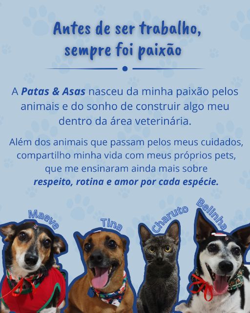 Foto 3 da galeria