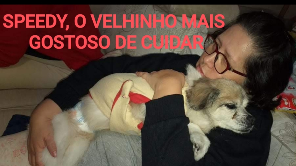Foto 1 da galeria