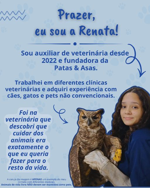 Foto 1 da galeria