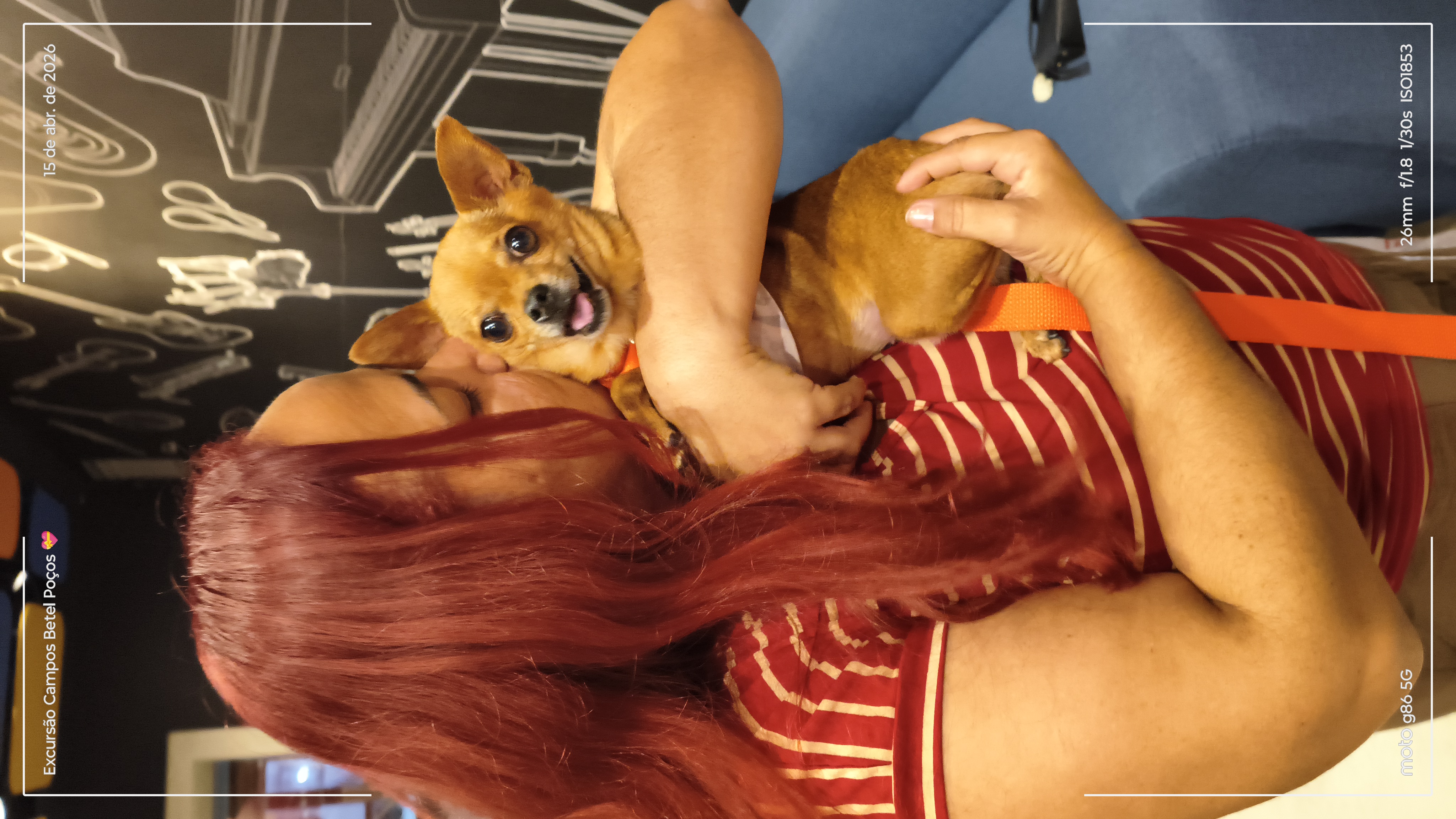 Foto 4 da galeria
