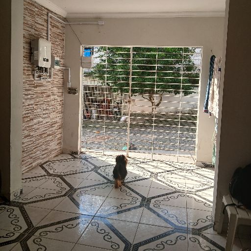 Foto 2 da galeria