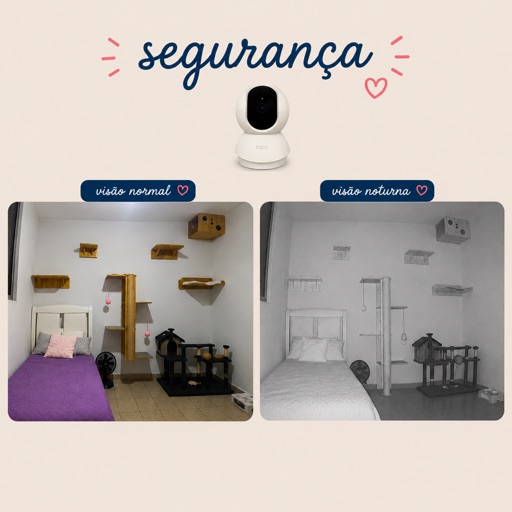Foto 4 da galeria